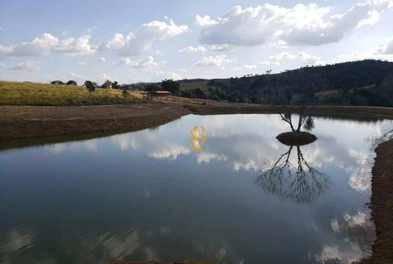 Terreno, 2 hectares - Foto 8