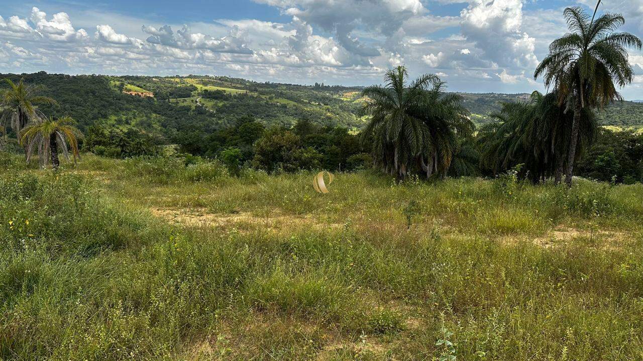 Terreno, 2 hectares - Foto 4