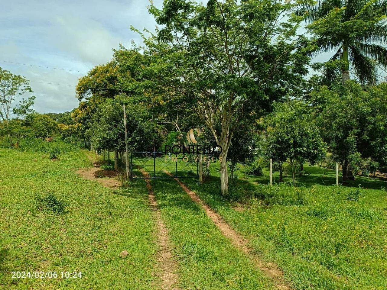 Fazenda à venda com 6 quartos, 125900m² - Foto 16