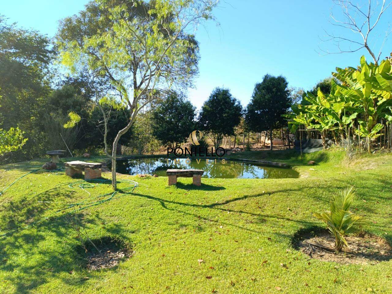 Fazenda à venda com 6 quartos, 125900m² - Foto 20