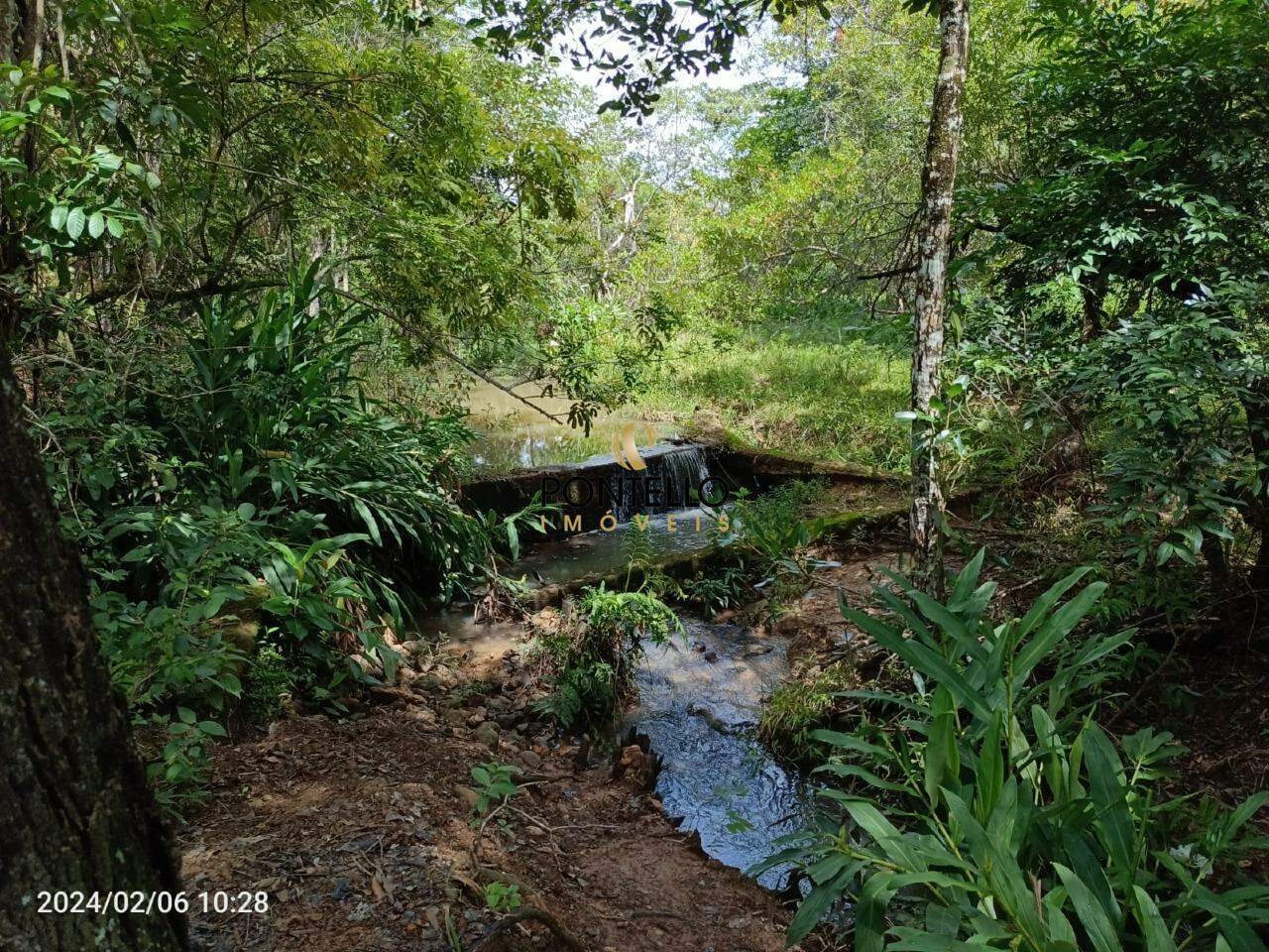 Fazenda à venda com 6 quartos, 125900m² - Foto 21