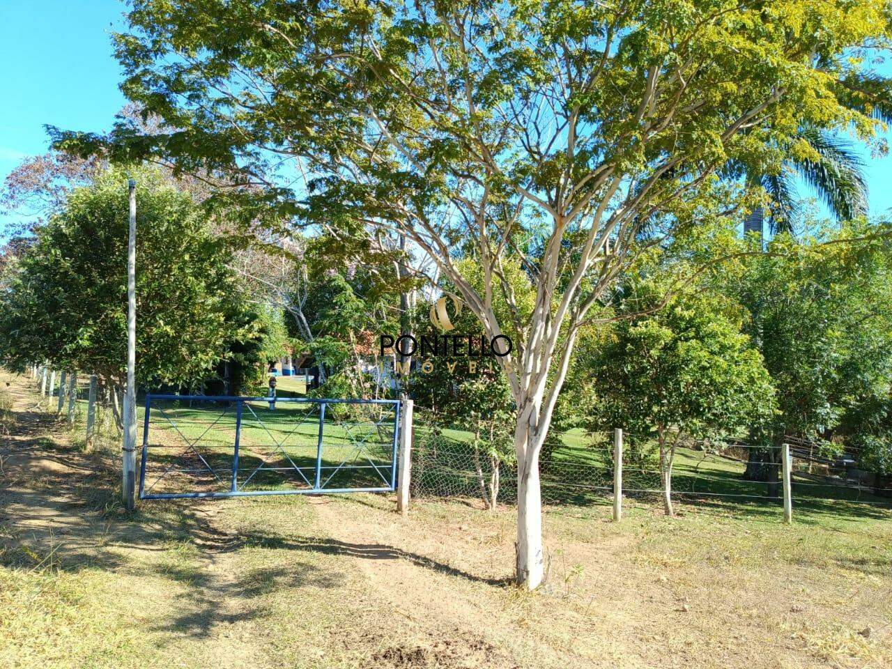Fazenda à venda com 6 quartos, 125900m² - Foto 14