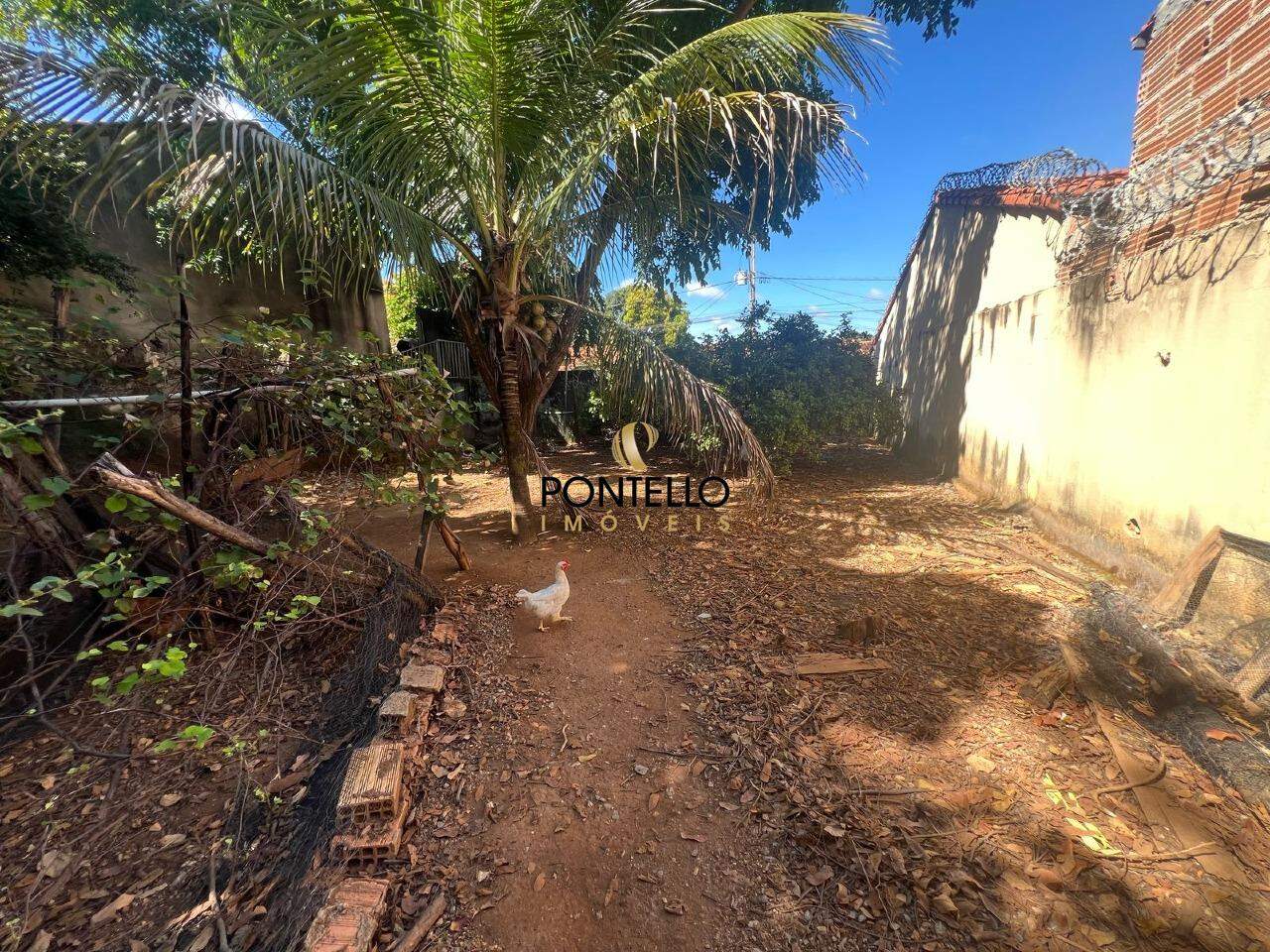 Terreno à venda, 360m² - Foto 1