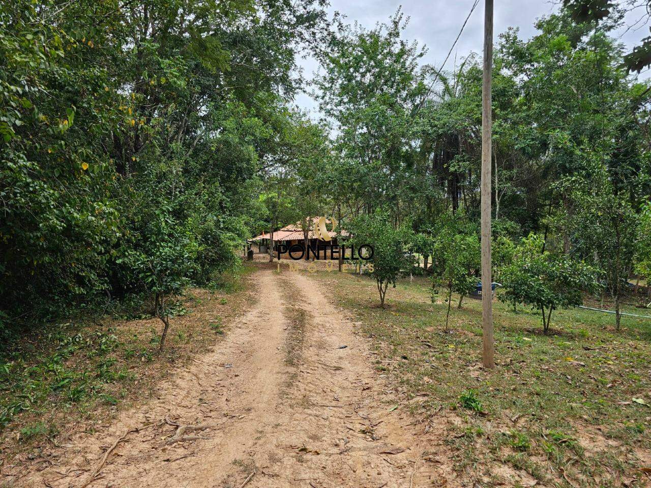 Fazenda, 37 hectares - Foto 1