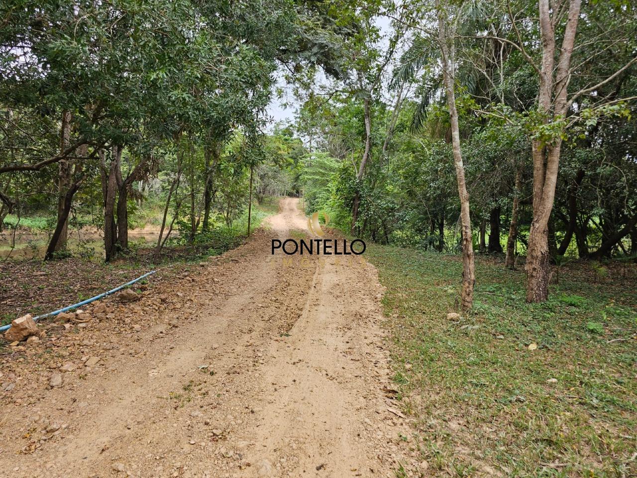 Fazenda, 37 hectares - Foto 3