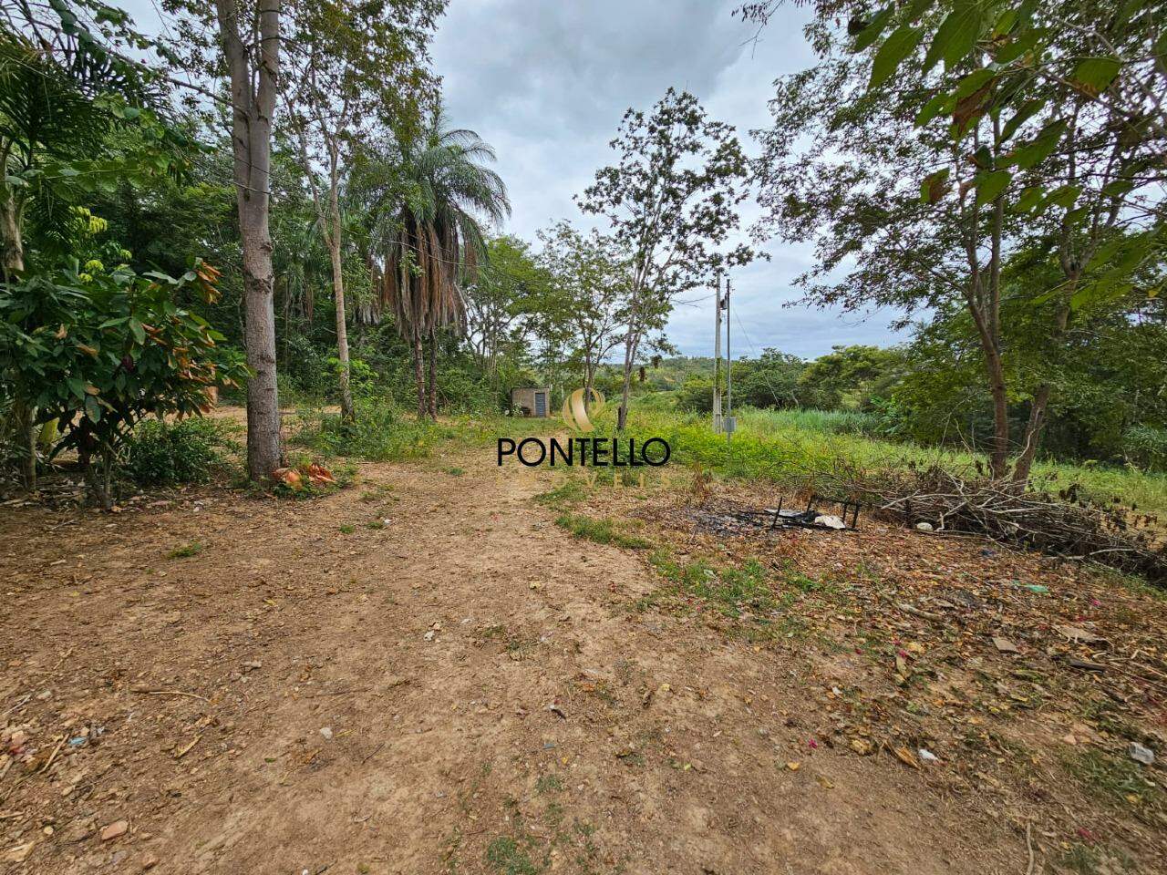 Fazenda, 37 hectares - Foto 13