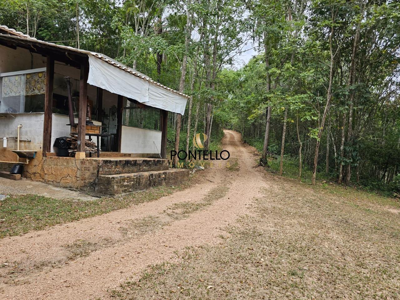 Fazenda, 37 hectares - Foto 5