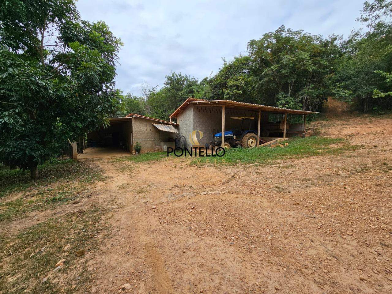 Fazenda, 37 hectares - Foto 22