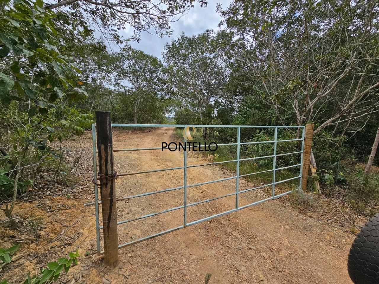Fazenda, 37 hectares - Foto 2
