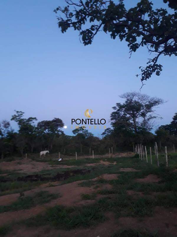 Terreno à venda, 1500m² - Foto 3