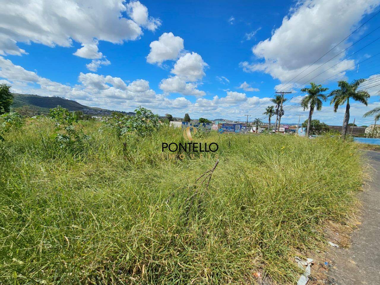 Terreno à venda, 9040m² - Foto 3