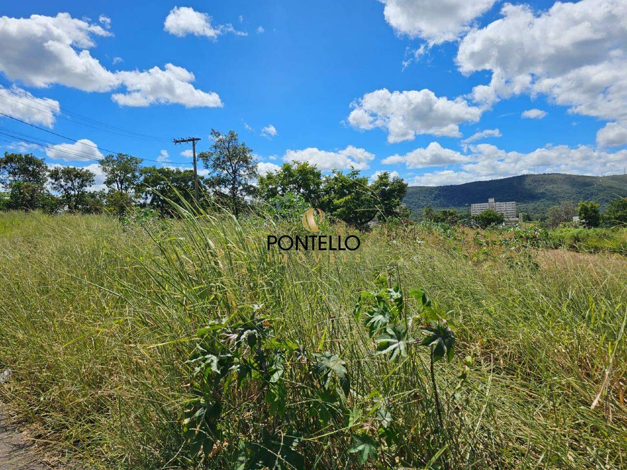 Terreno à venda, 9040m² - Foto 6