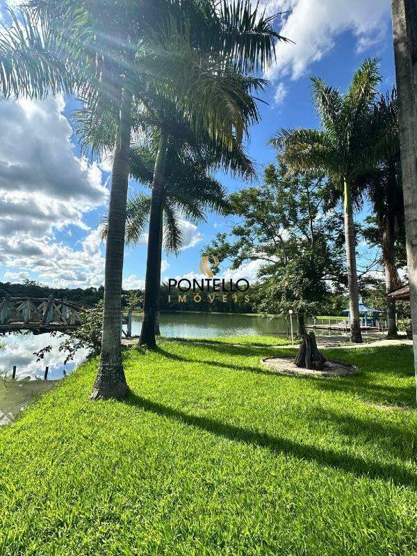 Fazenda-Sítio-Chácara, 4 hectares - Foto 3