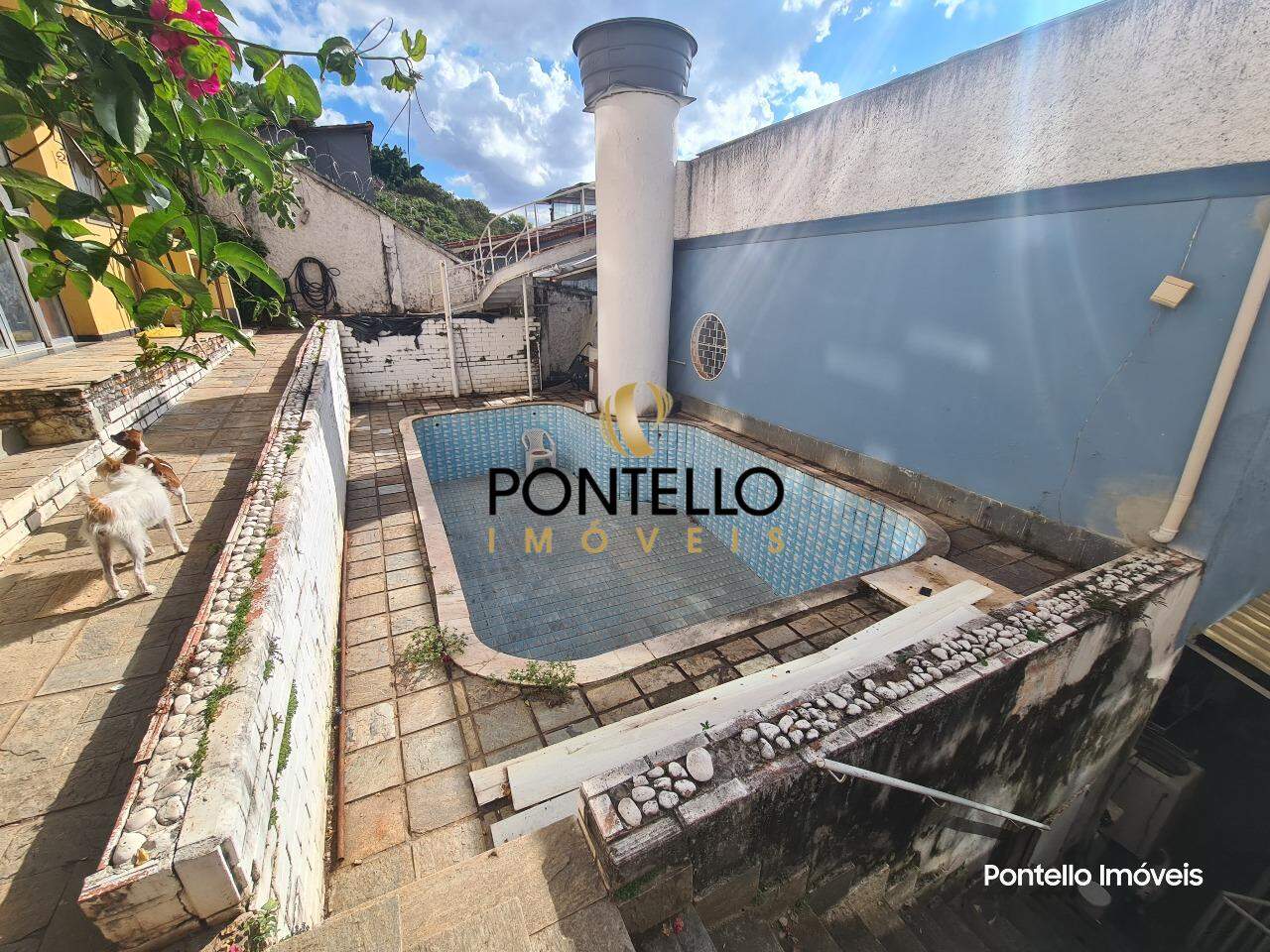 Casa, 5 quartos, 280 m² - Foto 13