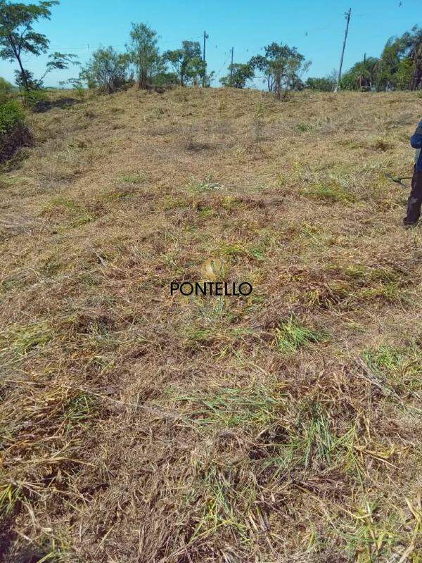 Terreno à venda, 2011m² - Foto 6