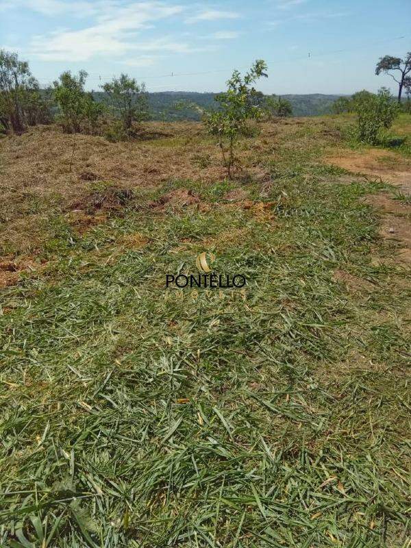 Terreno à venda, 2011m² - Foto 3