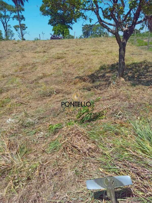 Terreno à venda, 2011m² - Foto 5