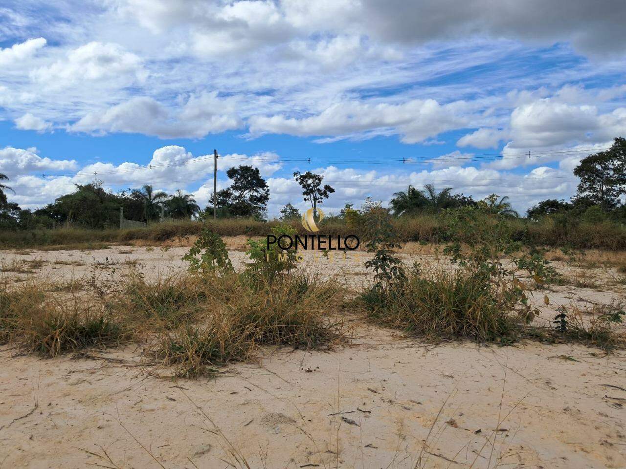 Terreno à venda, 2000m² - Foto 5