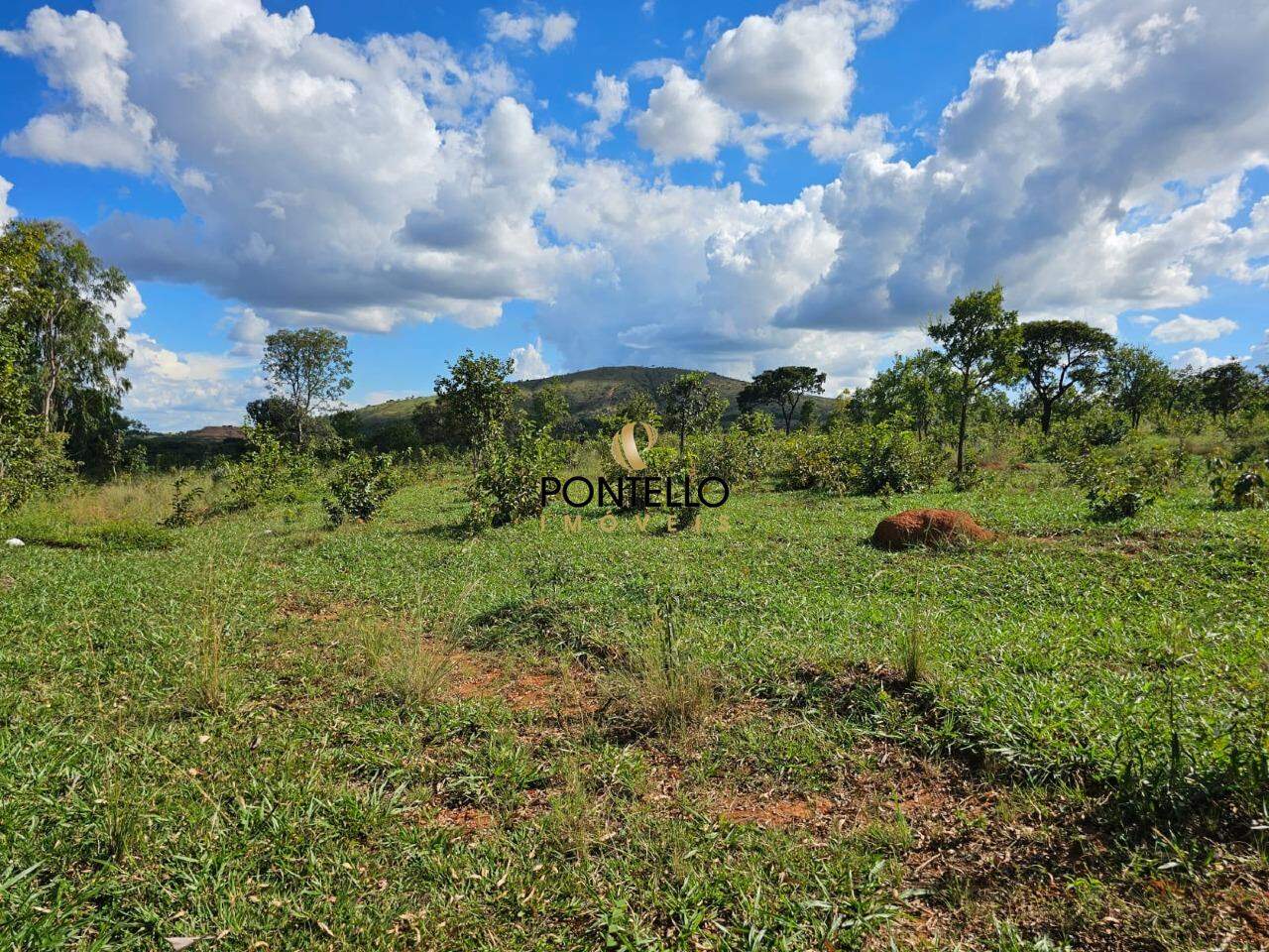 Fazenda-Sítio-Chácara, 10400 hectares - Foto 5