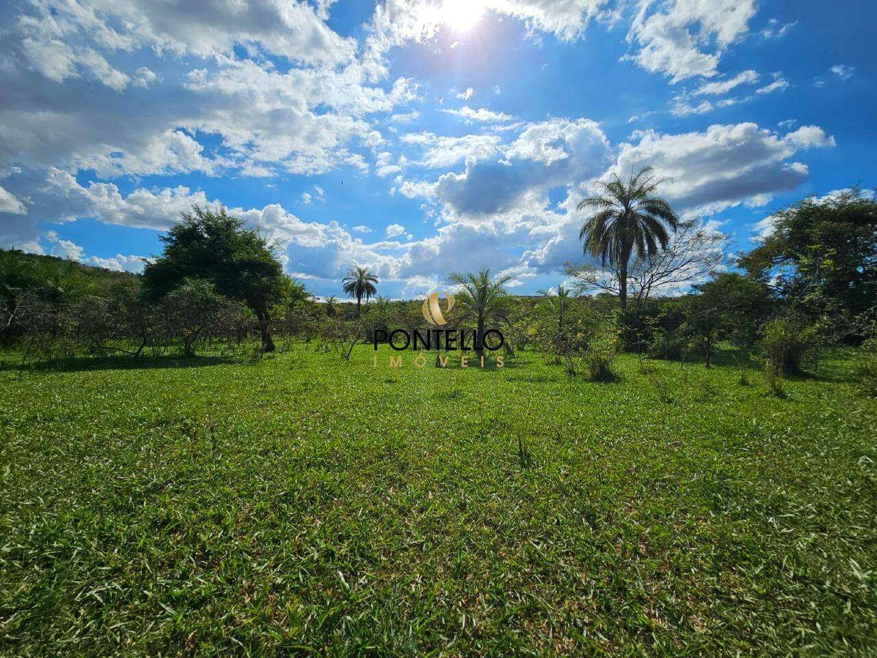 Fazenda-Sítio-Chácara, 10400 hectares - Foto 7