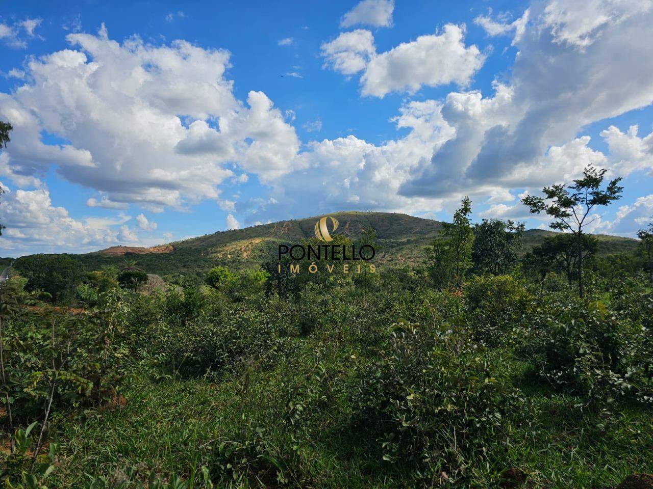 Fazenda-Sítio-Chácara, 10400 hectares - Foto 8