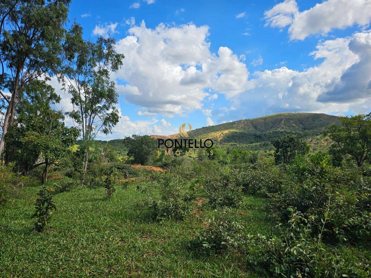 Fazenda-Sítio-Chácara, 10400 hectares - Foto 4
