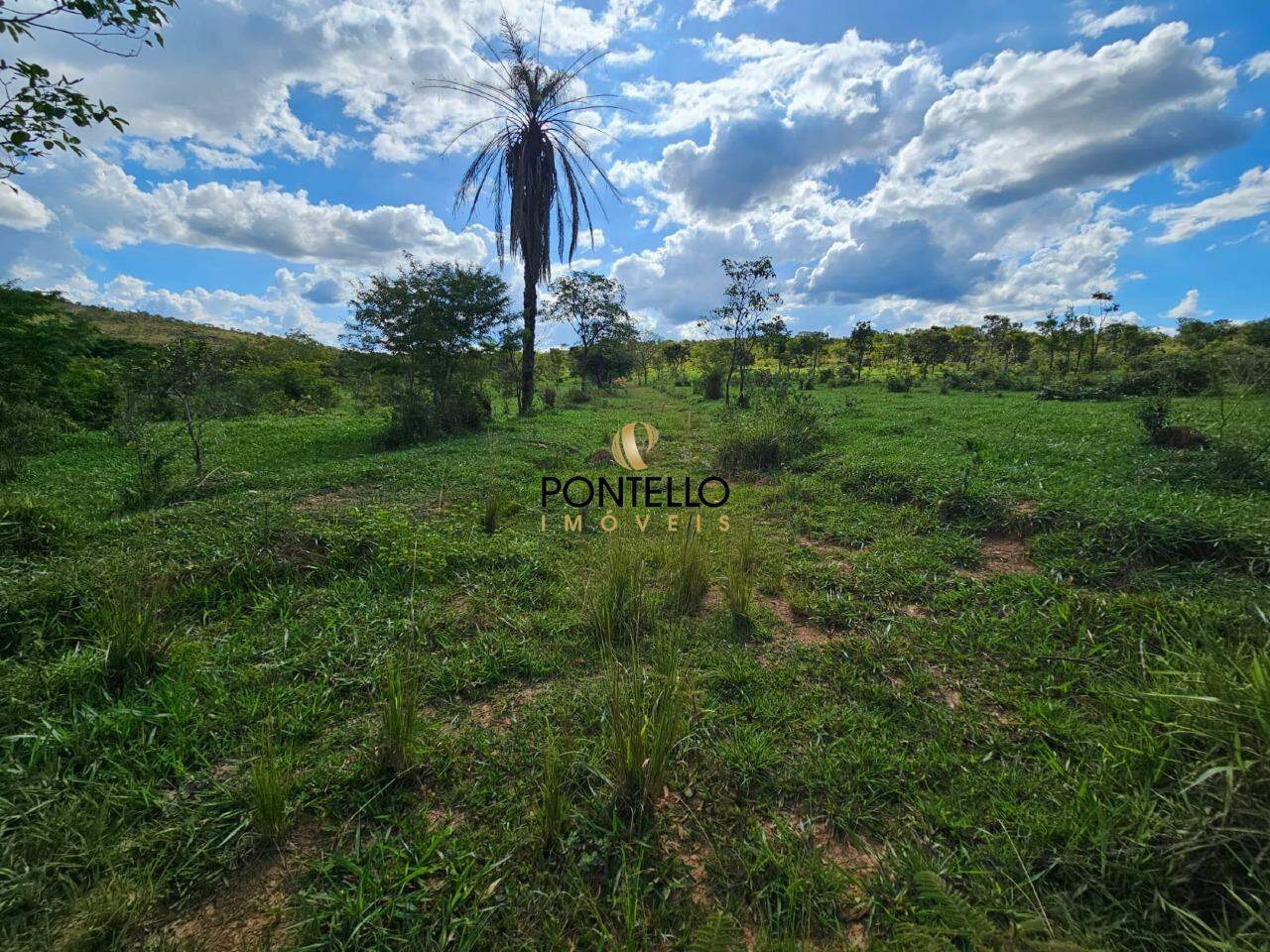 Fazenda-Sítio-Chácara, 10400 hectares - Foto 9