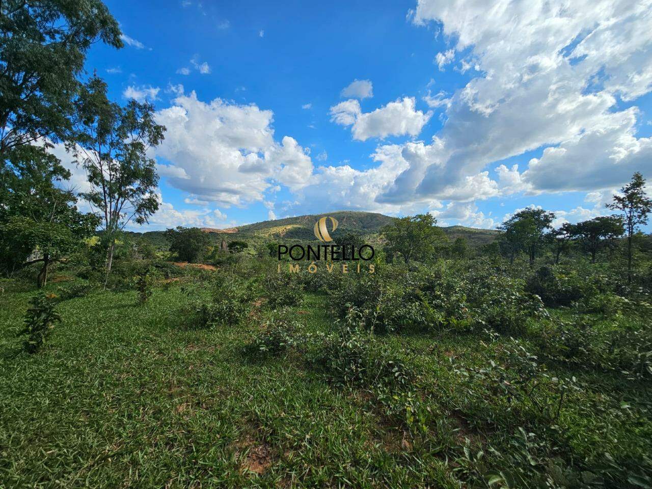 Fazenda-Sítio-Chácara, 10400 hectares - Foto 3