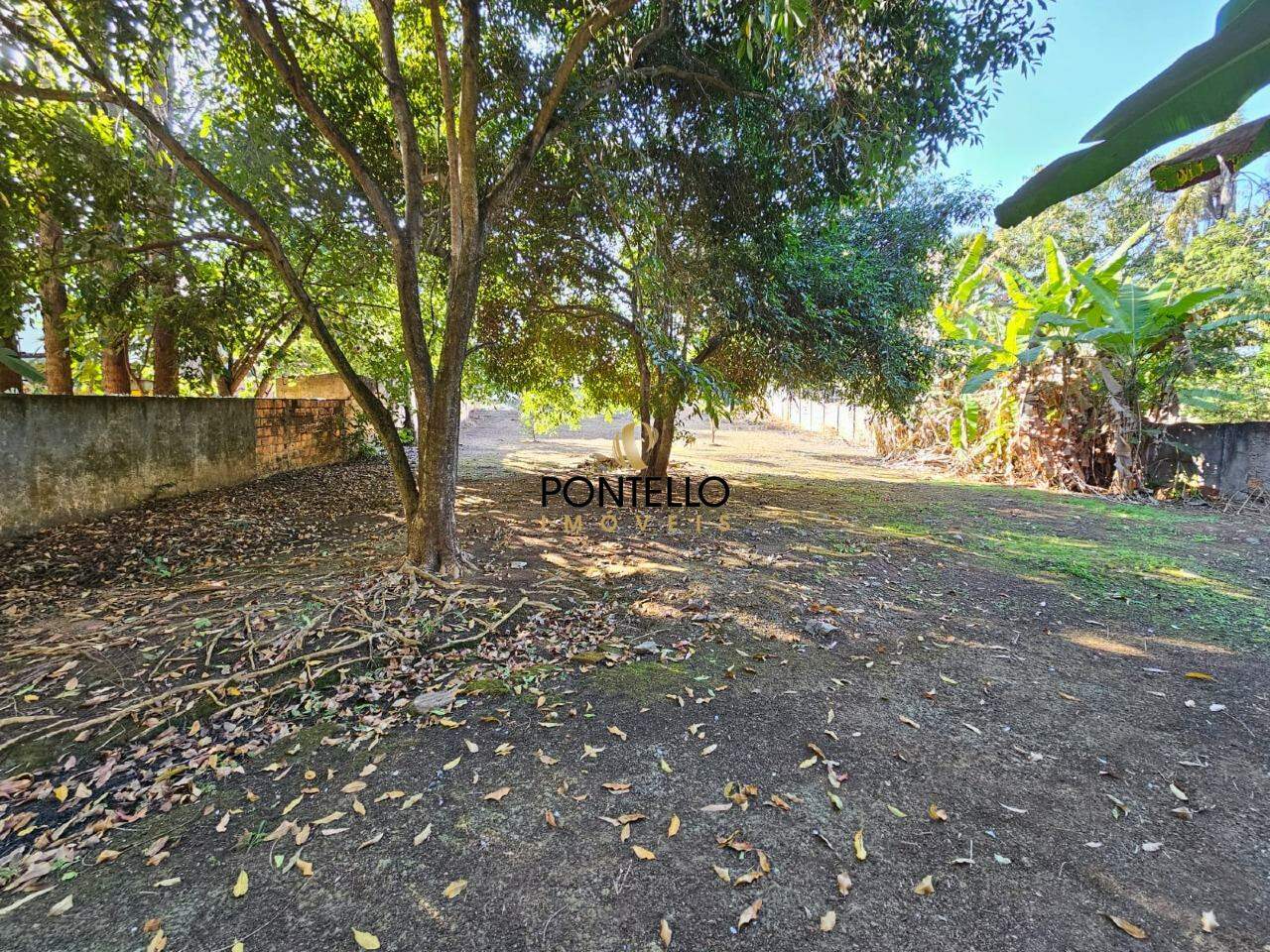 Chácara à venda com 3 quartos, 300m² - Foto 14