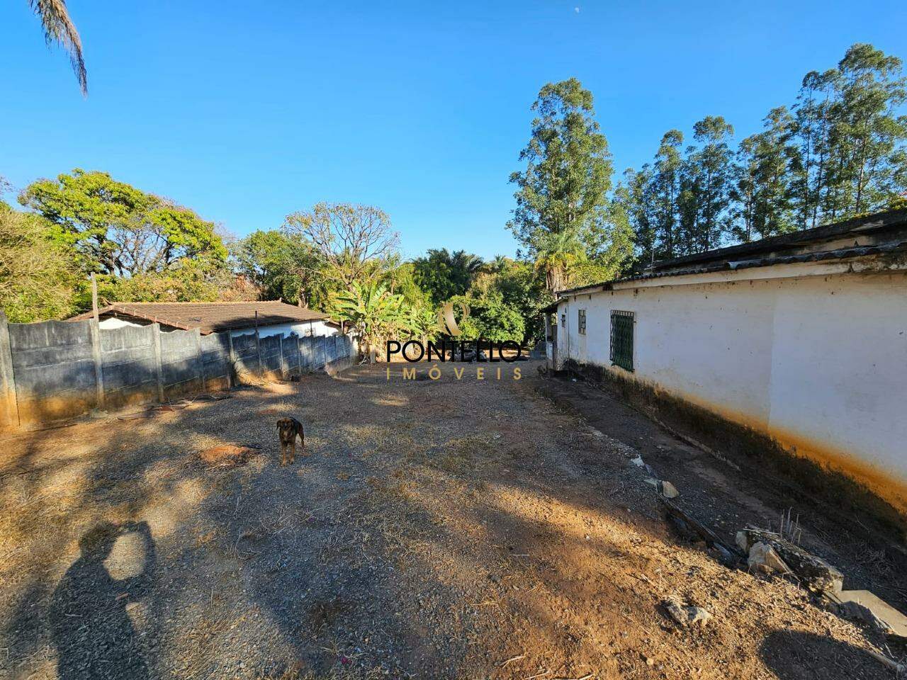 Chácara à venda com 3 quartos, 300m² - Foto 8