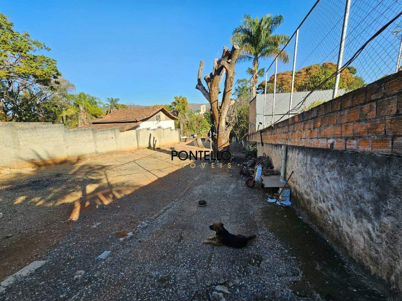 Chácara à venda com 3 quartos, 300m² - Foto 5