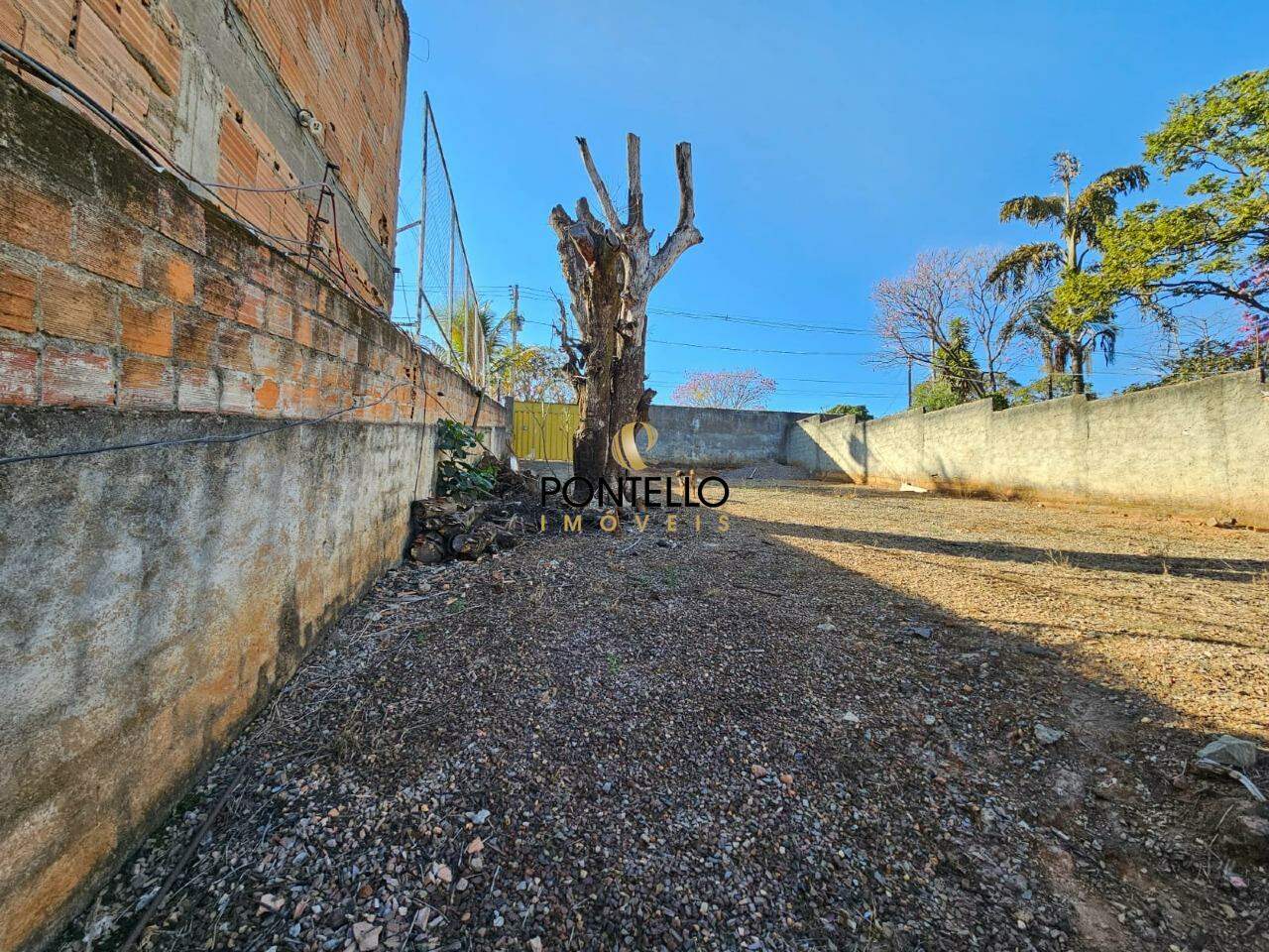Chácara à venda com 3 quartos, 300m² - Foto 6