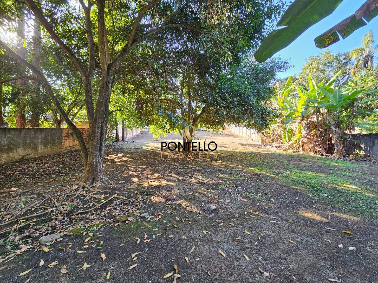 Chácara à venda com 3 quartos, 300m² - Foto 9