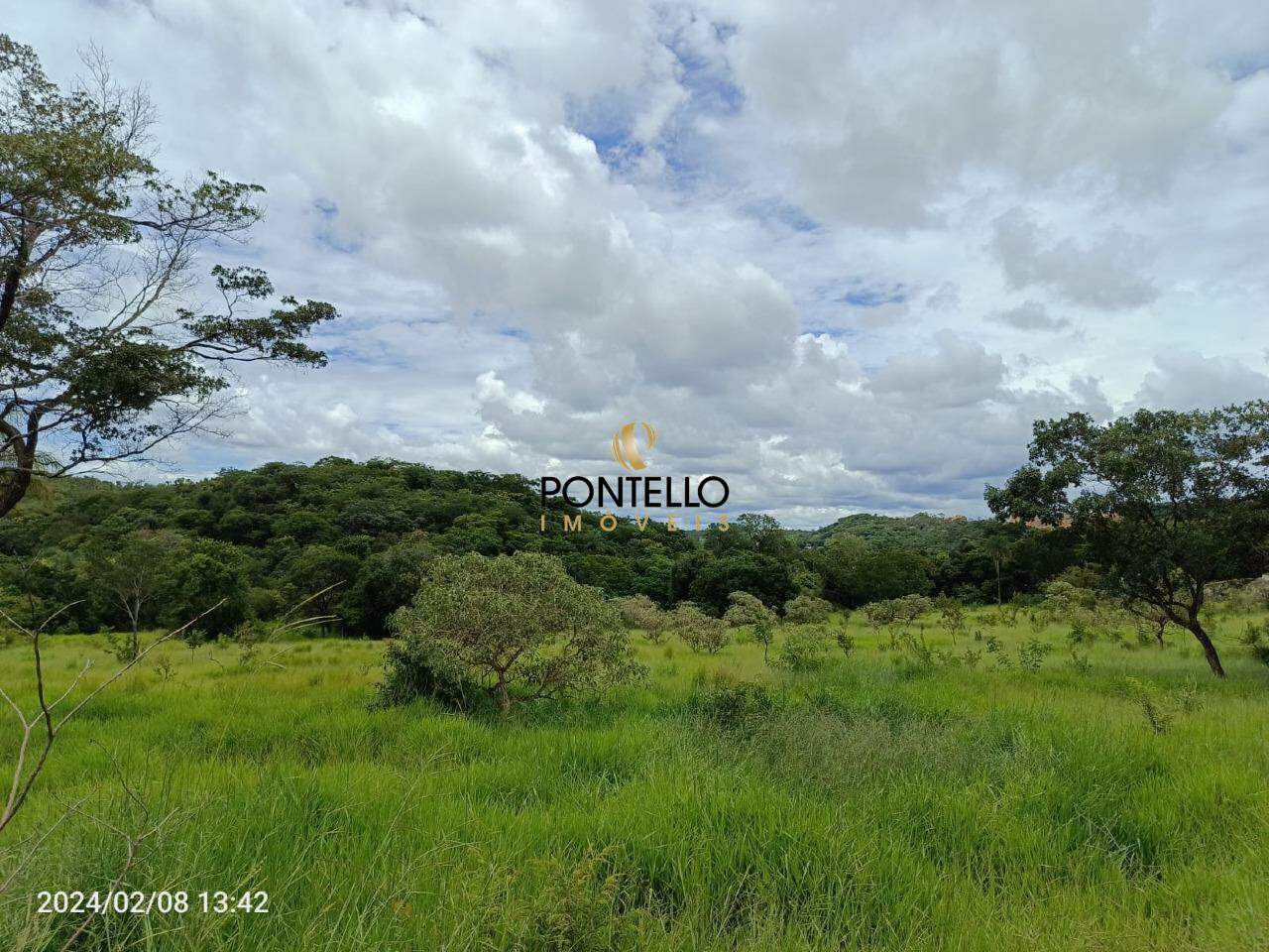 Terreno, 4 hectares - Foto 1