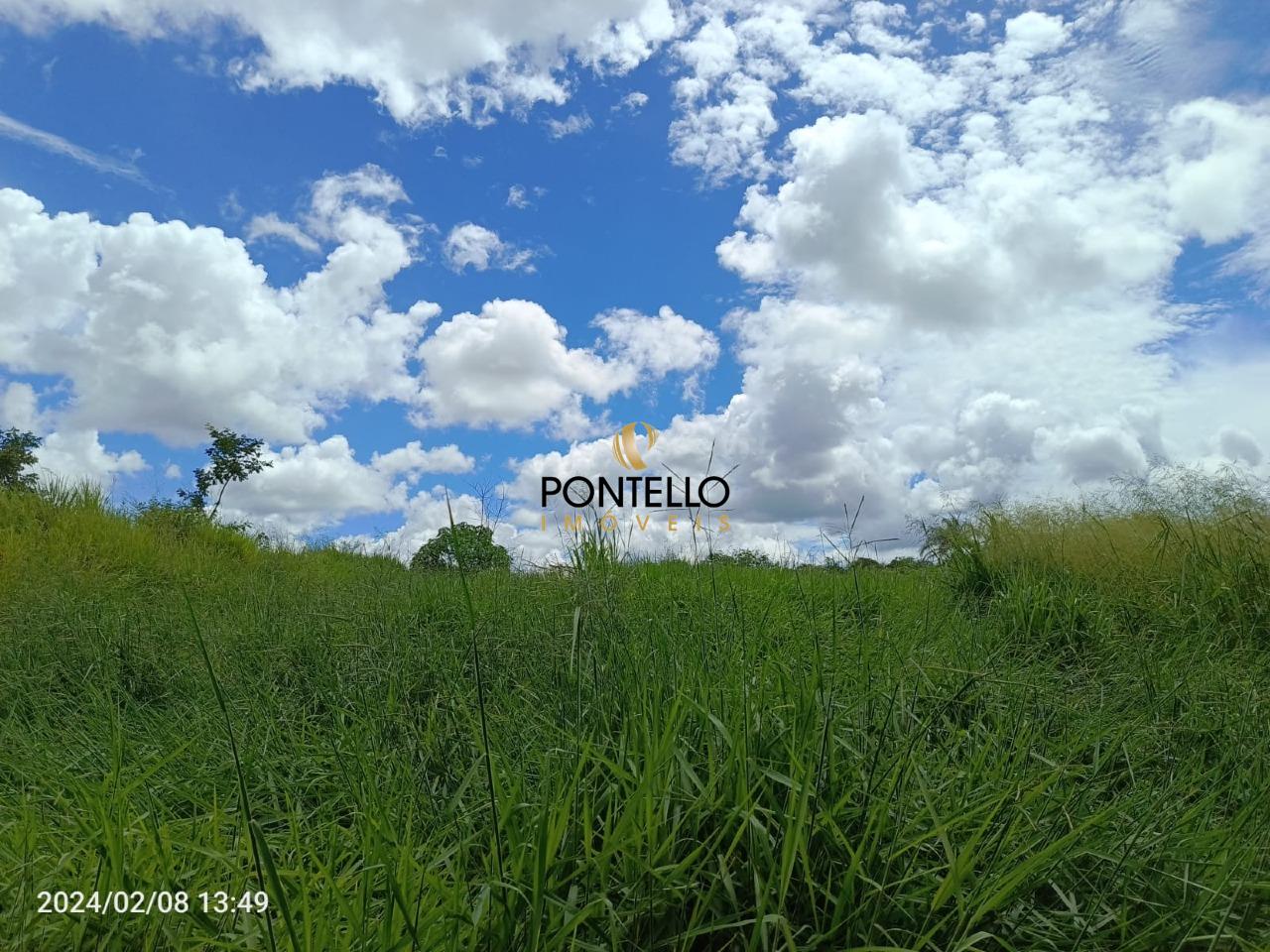 Terreno, 4 hectares - Foto 2