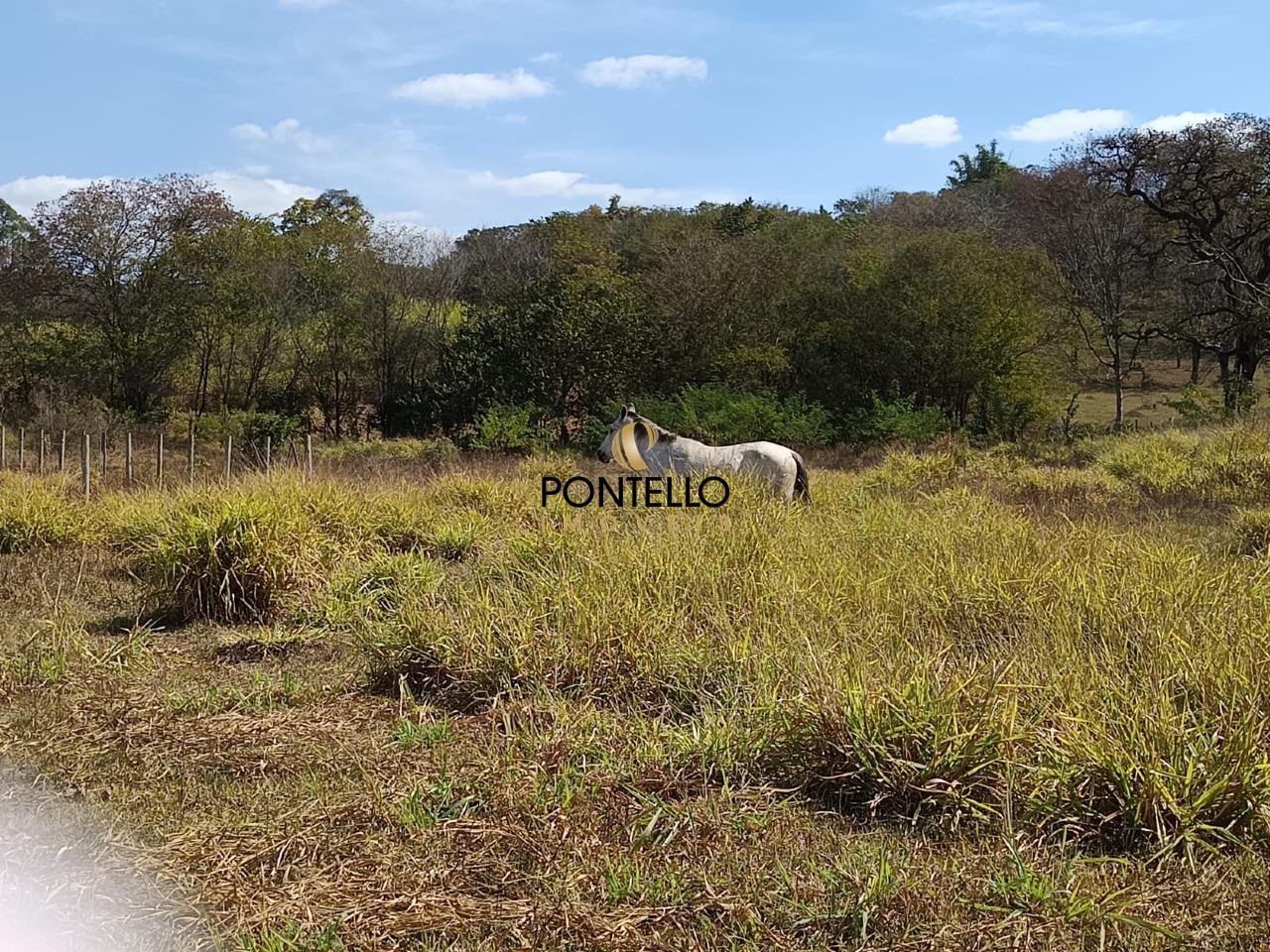 Terreno, 400 m² - Foto 6