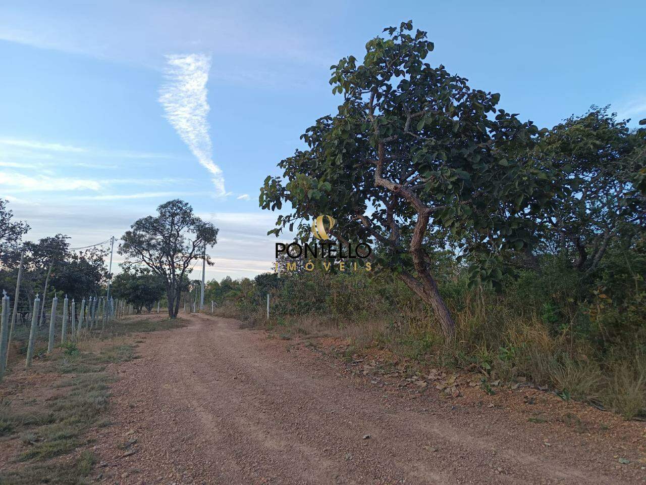 Chácara à venda com 1 quarto, 1000m² - Foto 4