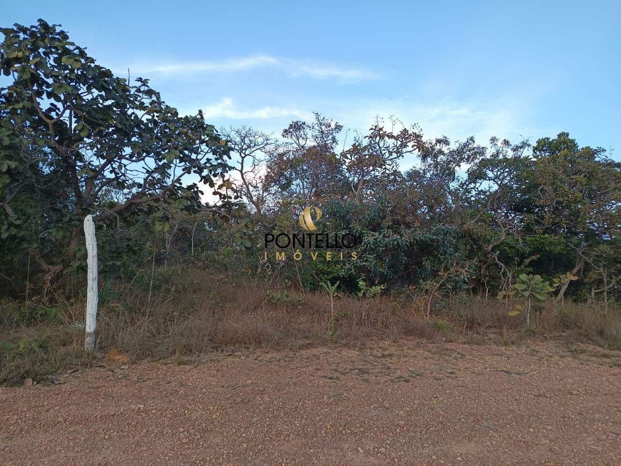 Chácara à venda com 1 quarto, 1000m² - Foto 2
