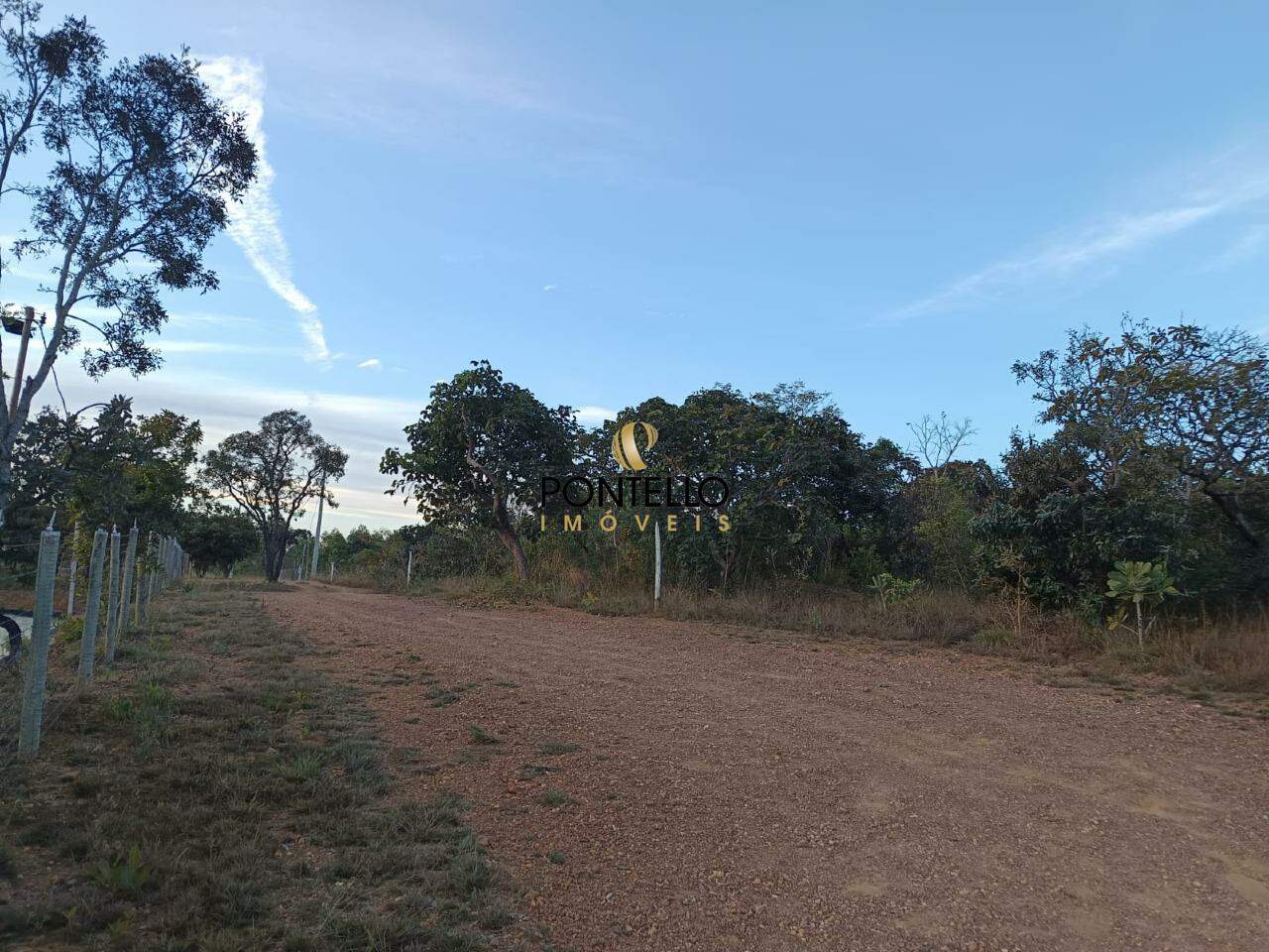 Chácara à venda com 1 quarto, 1000m² - Foto 3