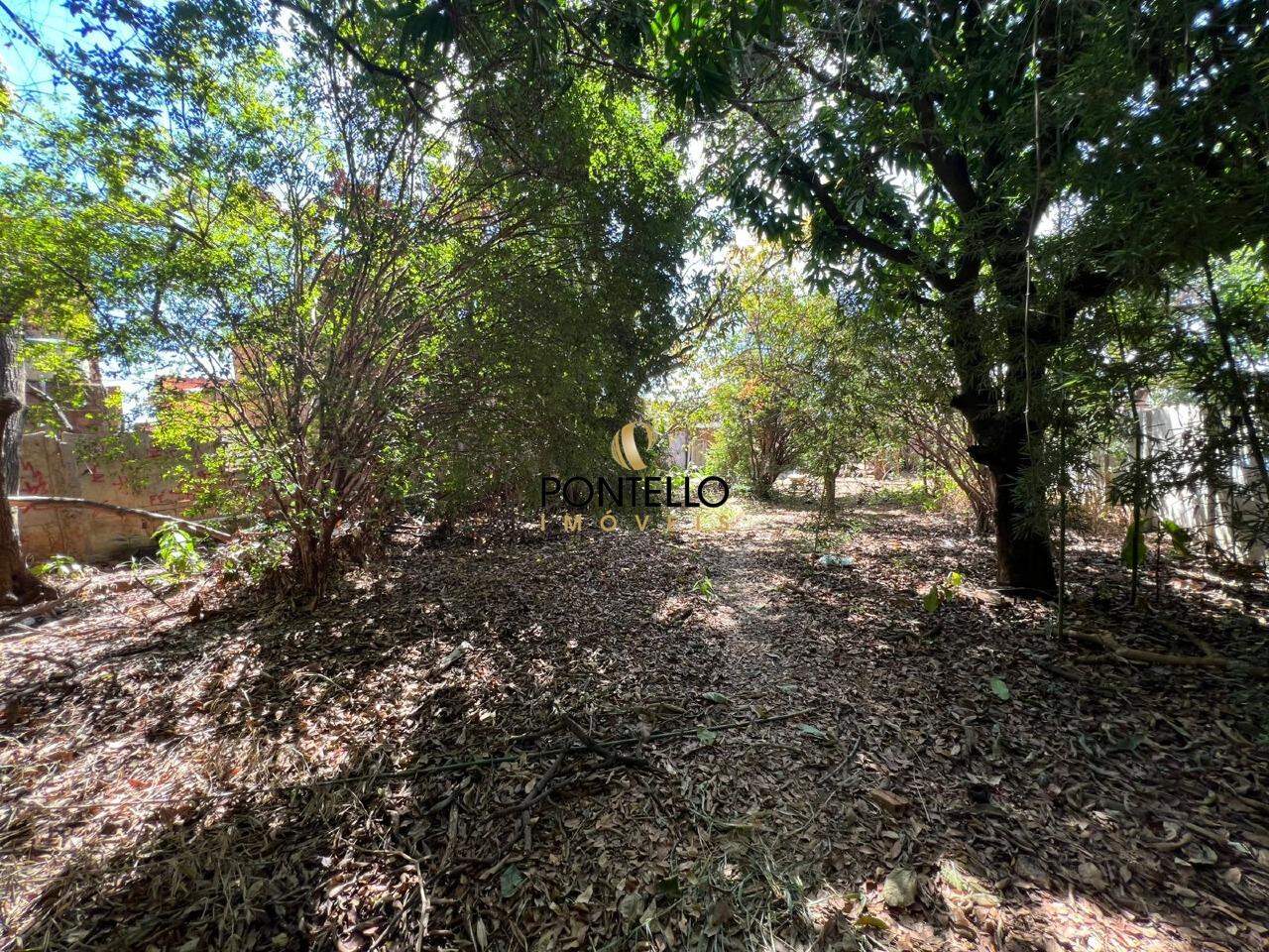 Casa, 4 quartos, 100 m² - Foto 19