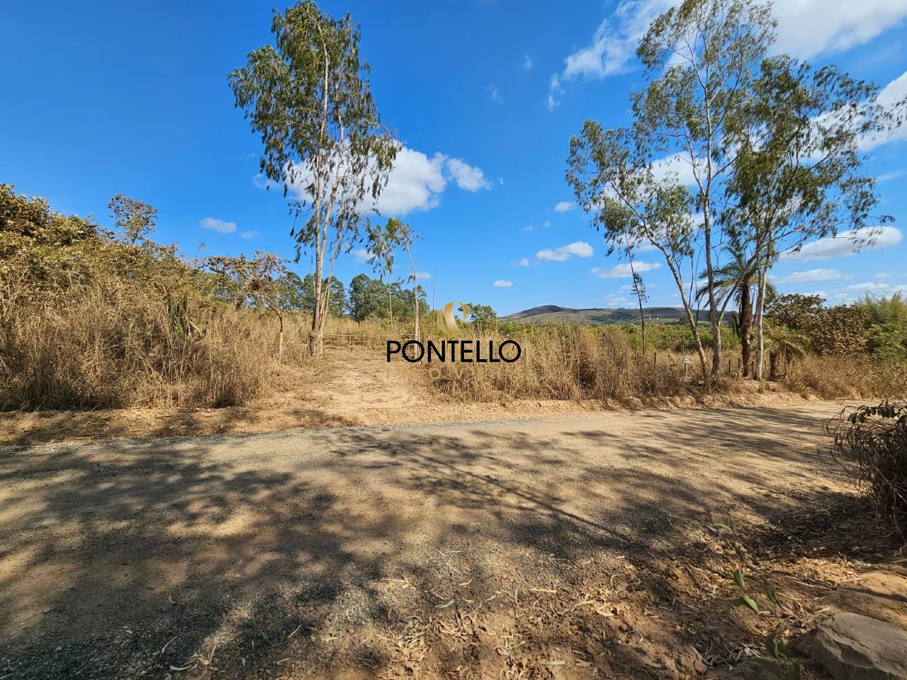 Terreno, 2 hectares - Foto 1