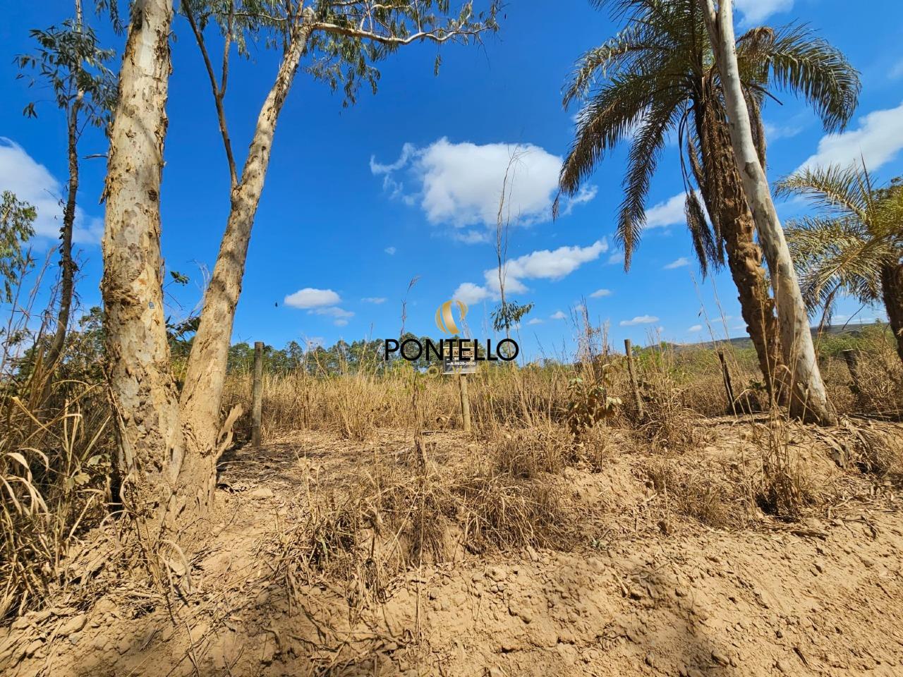 Terreno, 2 hectares - Foto 5