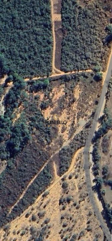 Terreno, 2 hectares - Foto 7