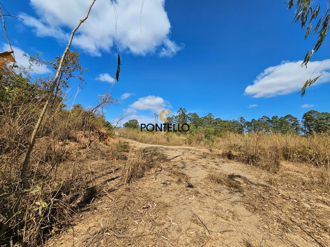 Terreno, 2 hectares - Foto 4