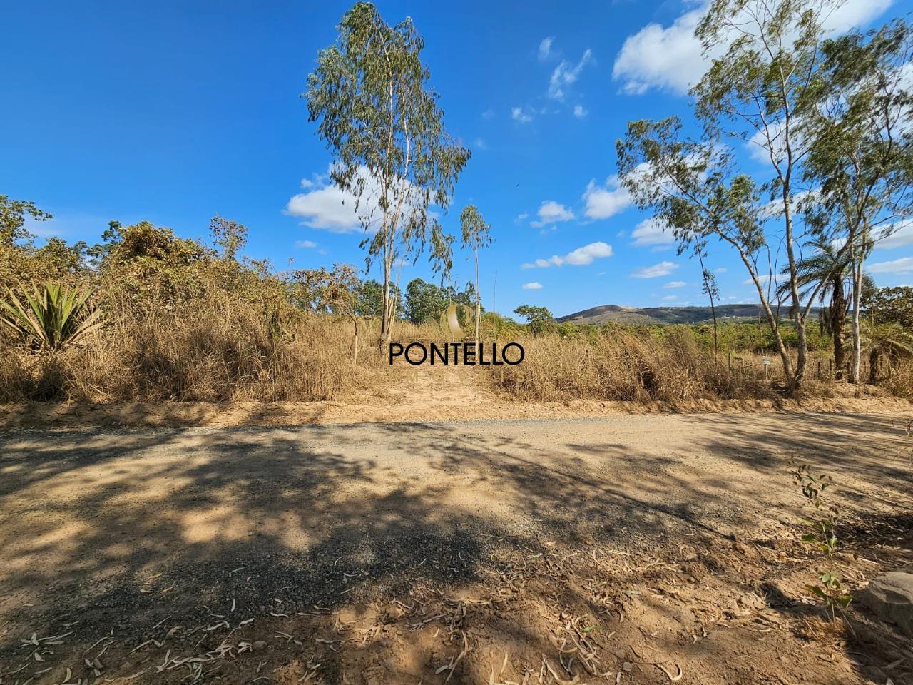 Terreno, 2 hectares - Foto 2