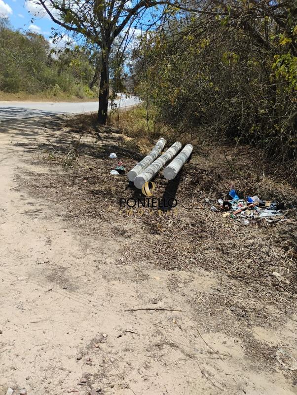 Terreno, 2 hectares - Foto 6