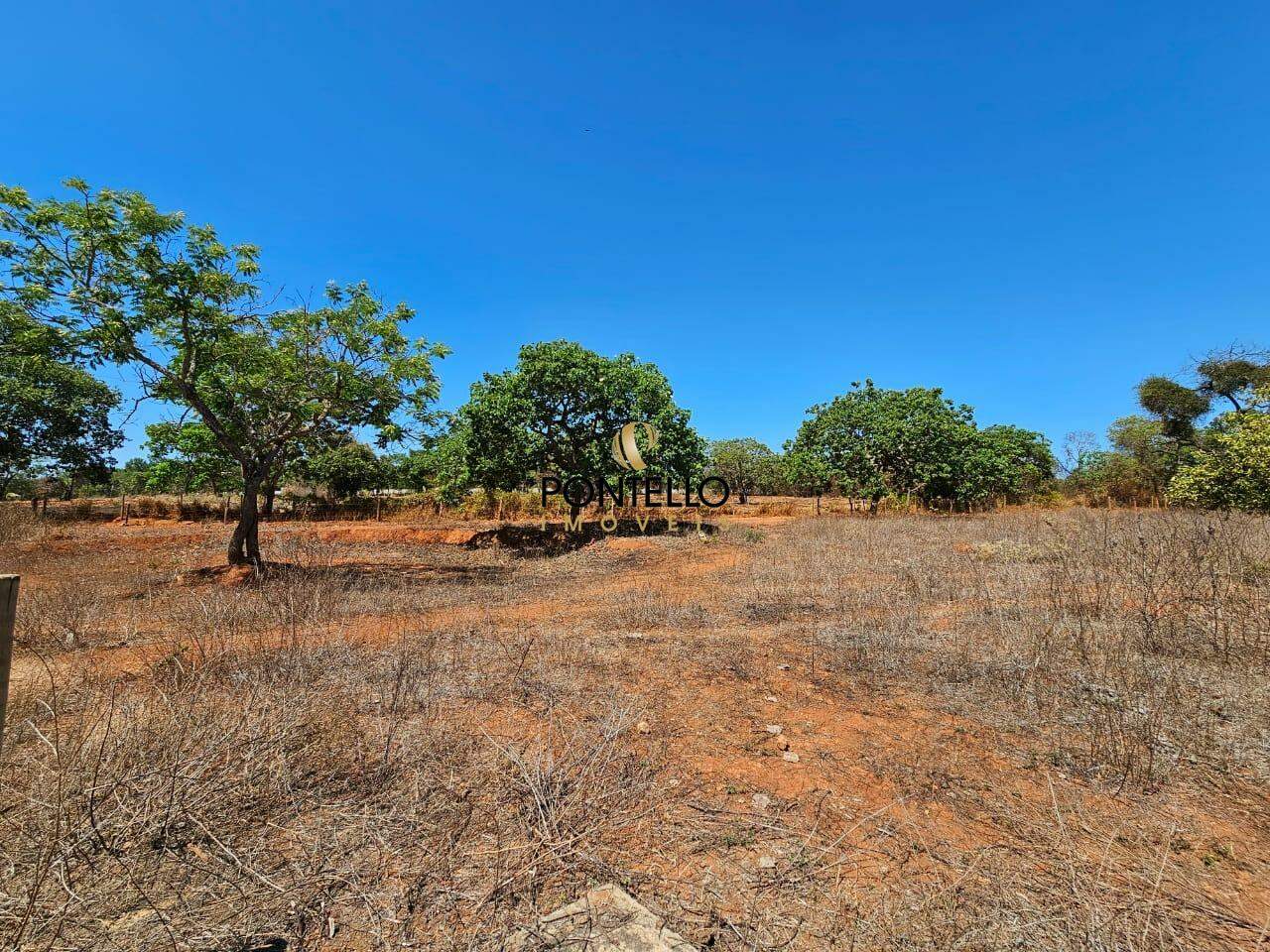 Fazenda-Sítio-Chácara, 15 hectares - Foto 19