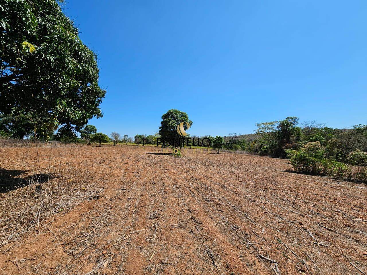 Fazenda-Sítio-Chácara, 15 hectares - Foto 18
