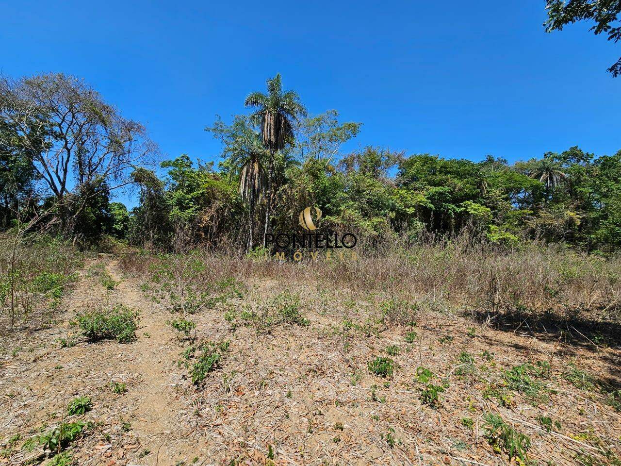 Fazenda-Sítio-Chácara, 15 hectares - Foto 22
