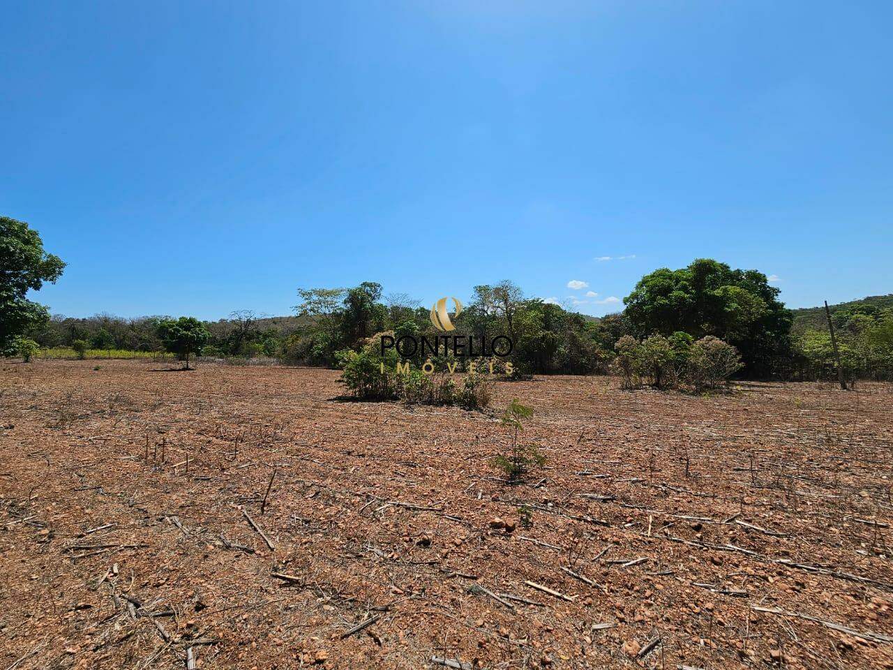 Fazenda-Sítio-Chácara, 15 hectares - Foto 16